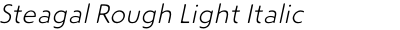 Steagal Rough Light Italic